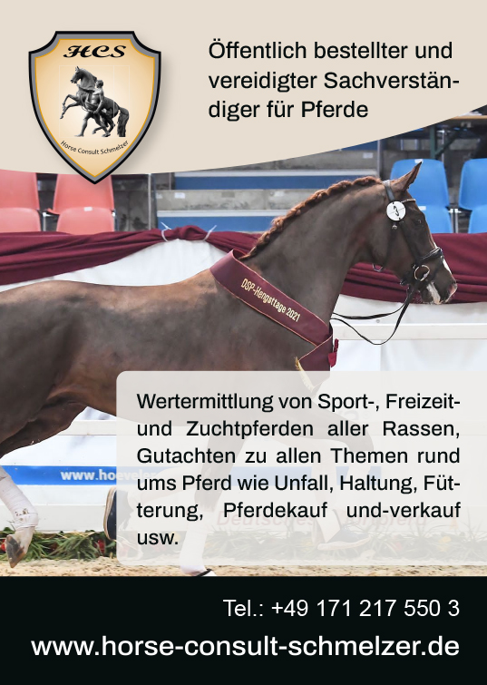 pferdesachverstaendiger wertermittlung pferde
