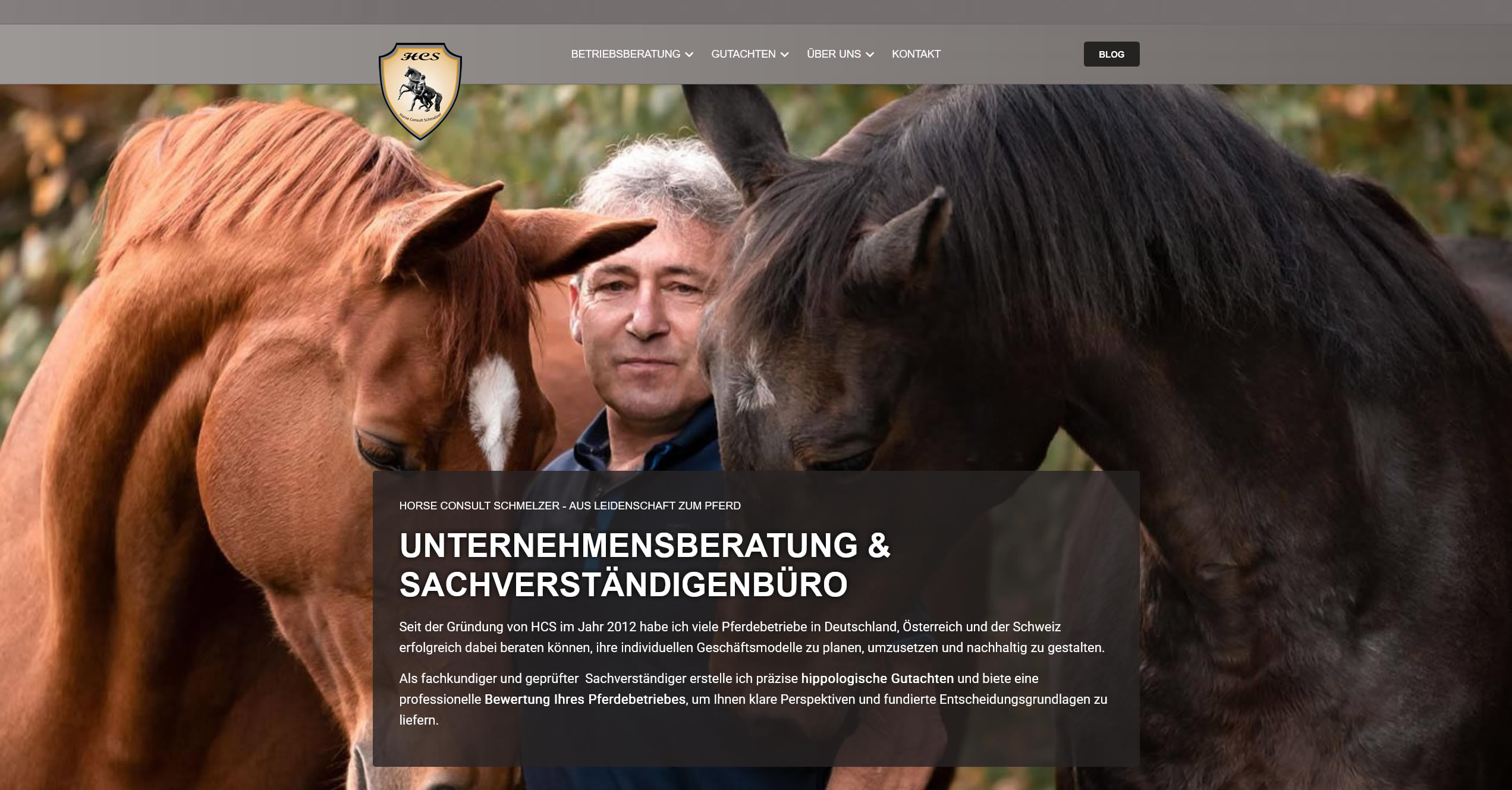 Marketing: Neues Design f&uuml;r Horse Consult Schmelzer