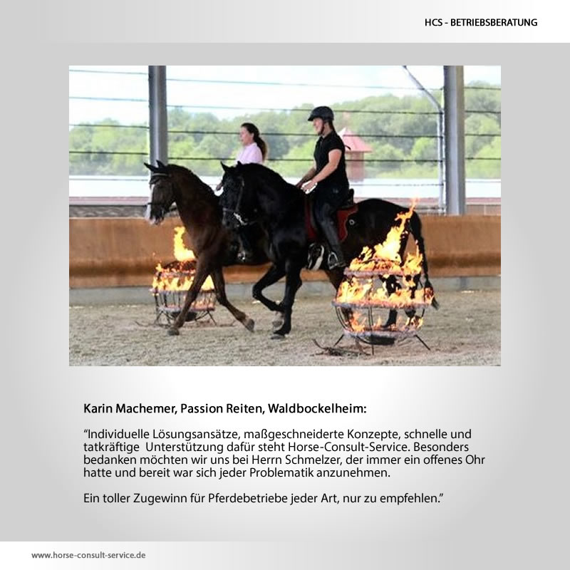 Betriebsberatung