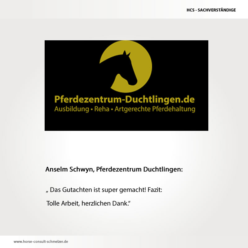 Sachverständige