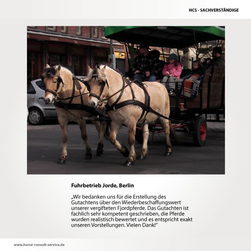 Sachverständige